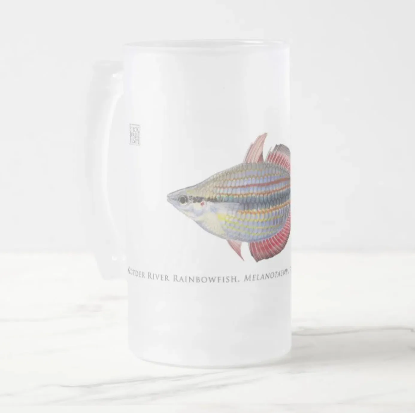 Goyder River Rainbowfish - Glass Stein