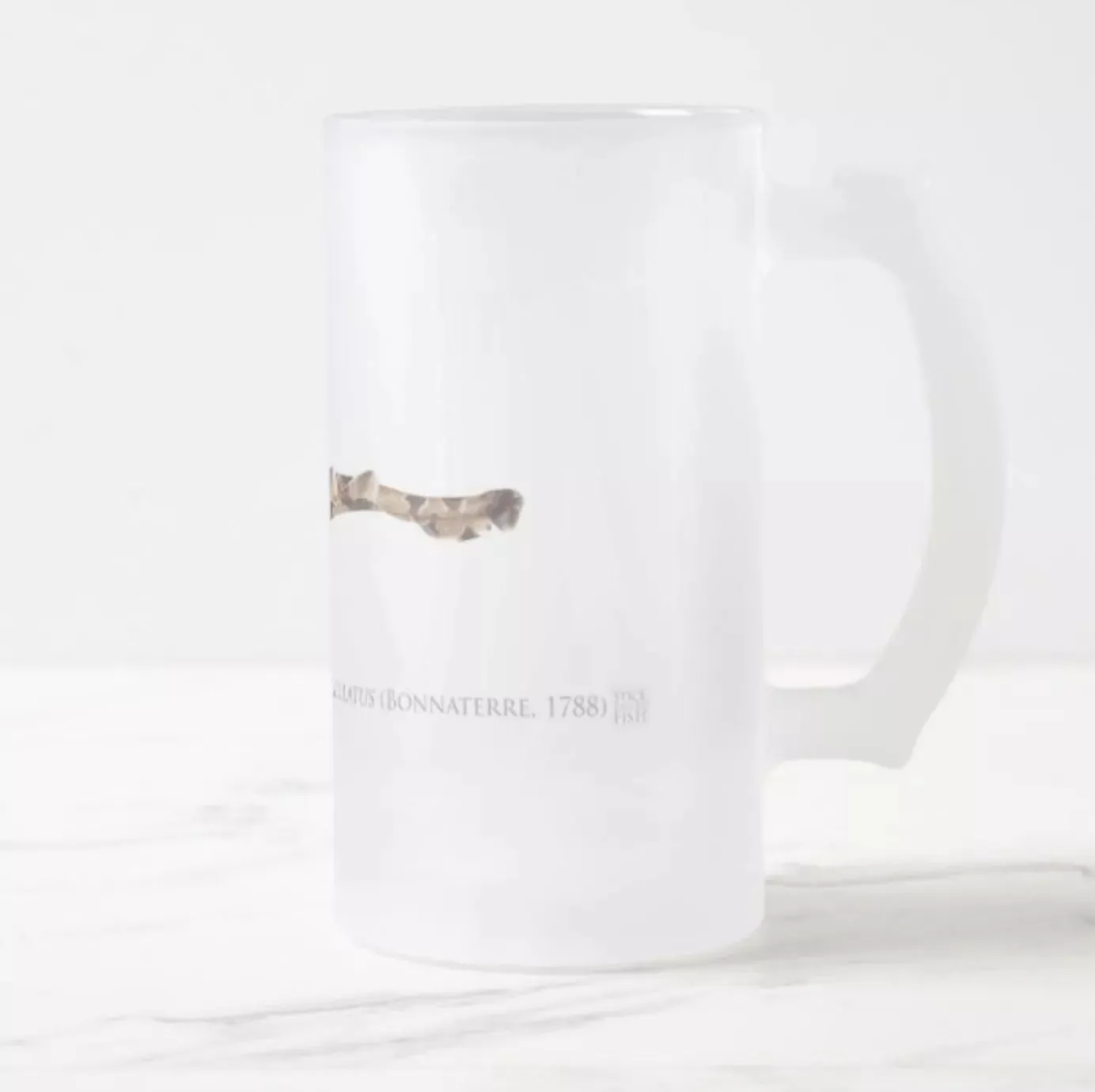 Spotted Wobbegong - Frosted Glass Stein